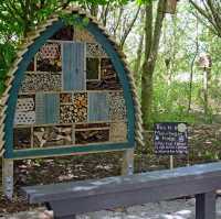 RSPB Portmore Lough Nature Reserve – Wetland Wonder by Lough Neagh