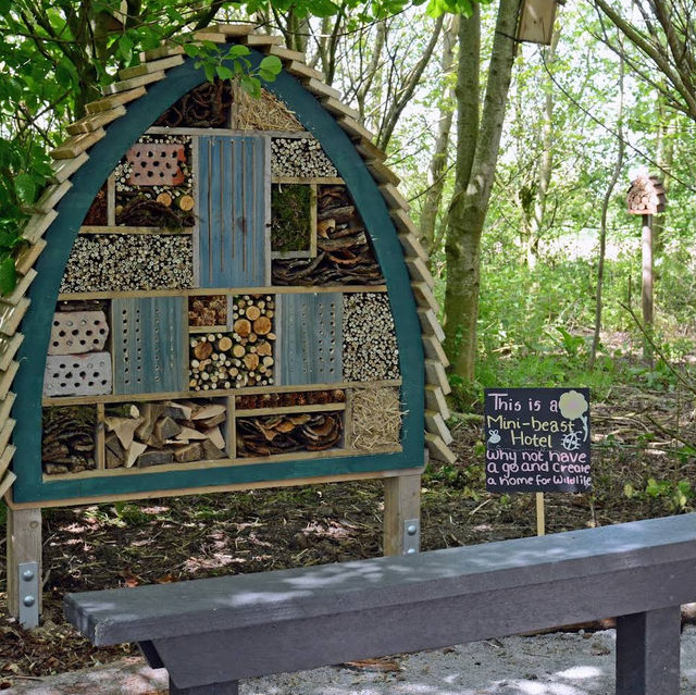 RSPB Portmore Lough Nature Reserve – Wetland Wonder by Lough Neagh