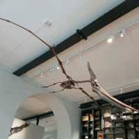 Small but great museum with lots to see including fossils, rocks and gemstones. There are some free activity sheets and a room with books, colouring sheets and puzzles