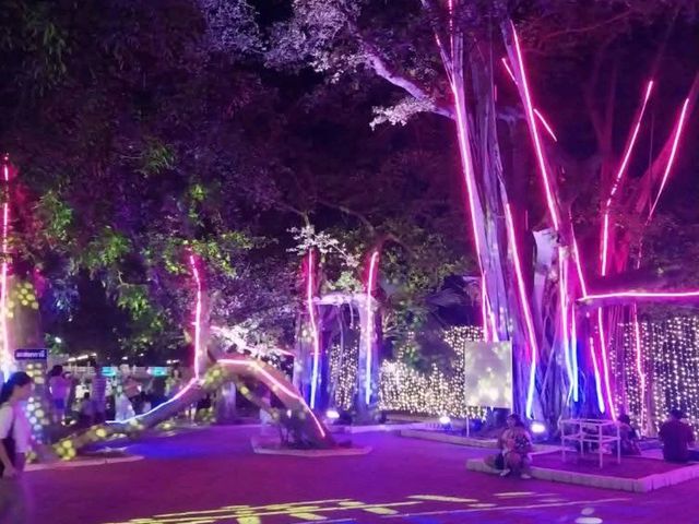 พระราชวังบ้านปืน
