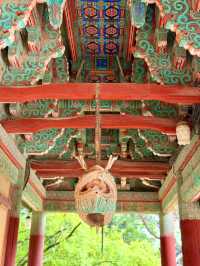 慶州｜金豬傳說佛國寺 快來找藏在牌匾後帶來財運的小豬