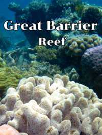 GreatBarrierReef