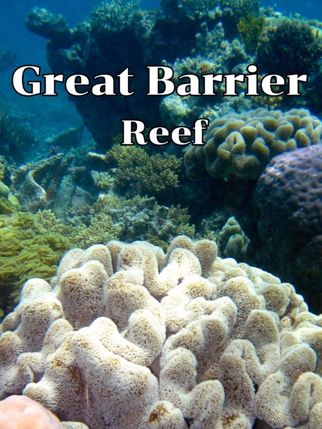 GreatBarrierReef