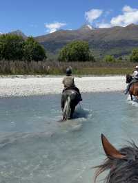 紐西蘭景點推薦—🐑 Glenorchy Animal Experience