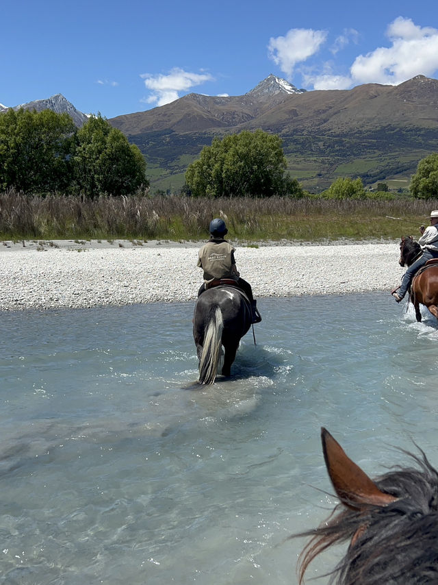 紐西蘭景點推薦—🐑 Glenorchy Animal Experience