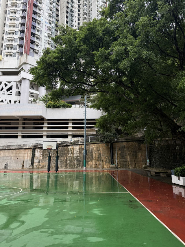ย่านที่ต้องมาในฮ่องกง! “Kennedy Town” 🇭🇰🌊 ย่านที่ต้องมาในฮ่องกง! “Kennedy Town” 🇭🇰🌊