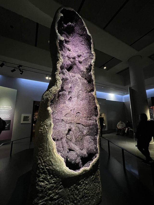 ［紐約旅行］紐約自然歷史科學博物館American Museum of Natural History🦴晚上會活起來的博物館