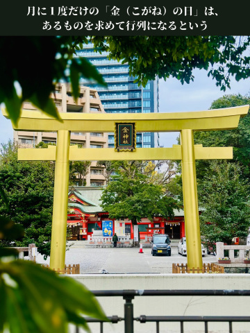 金運ご利益💰金色に輝く鳥居は全ての参拝者を魅了する🥰月に一度参拝者