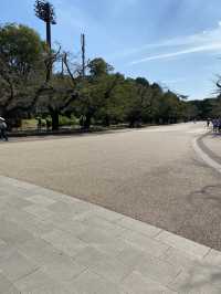 【東京都上野🇯🇵 上野恩賜公園】美術館や動物園に行くもよし‼️カフェでまったりするもよし☺️