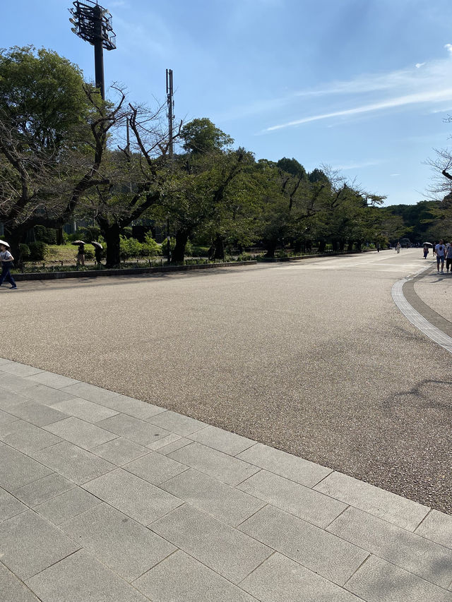 【東京都上野🇯🇵 上野恩賜公園】美術館や動物園に行くもよし‼️カフェでまったりするもよし☺️