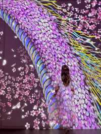 神戸 ❤︎ アクアリウムとアートが融合した新感覚体験🦋✨ 