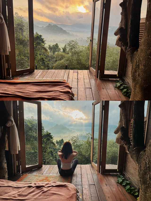 峇里島秘境竹屋住體驗🌿｜睡在原始森林看日出