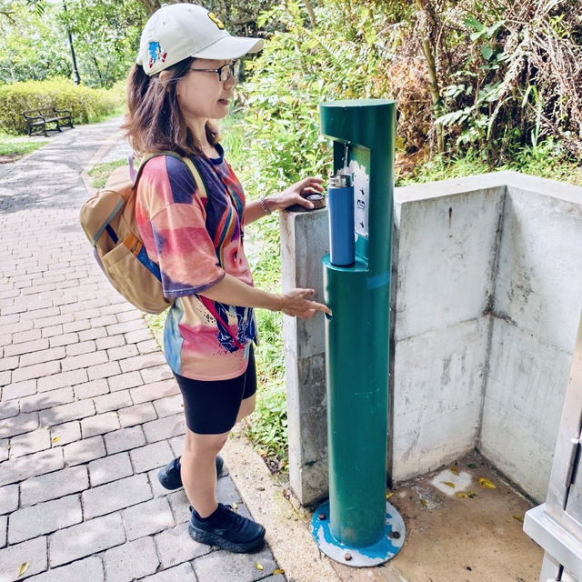 雙腳代替纜車：登太平山頂、爬『西高山』，一路看盡香港風光～