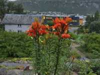 Arctic–Alpine Botanic Garden