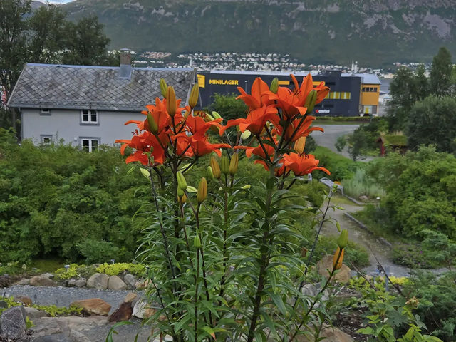 Arctic–Alpine Botanic Garden