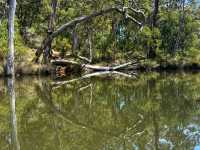🌿 Discover Margaret River – Western Australia’s Hidden Gem