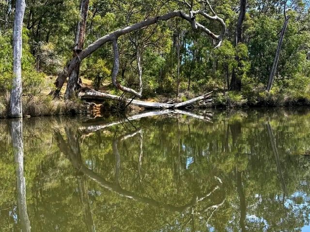 🌿 Discover Margaret River – Western Australia’s Hidden Gem 🌿 Discover Margaret River – Western Australia’s Hidden Gem