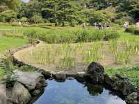 the Imperial Palace East Gardens