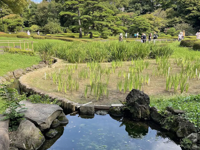 the Imperial Palace East Gardens the Imperial Palace East Gardens