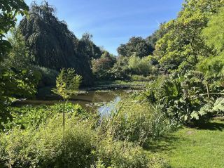 Arboretum Kalmthout