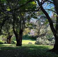 Caves House Hotel