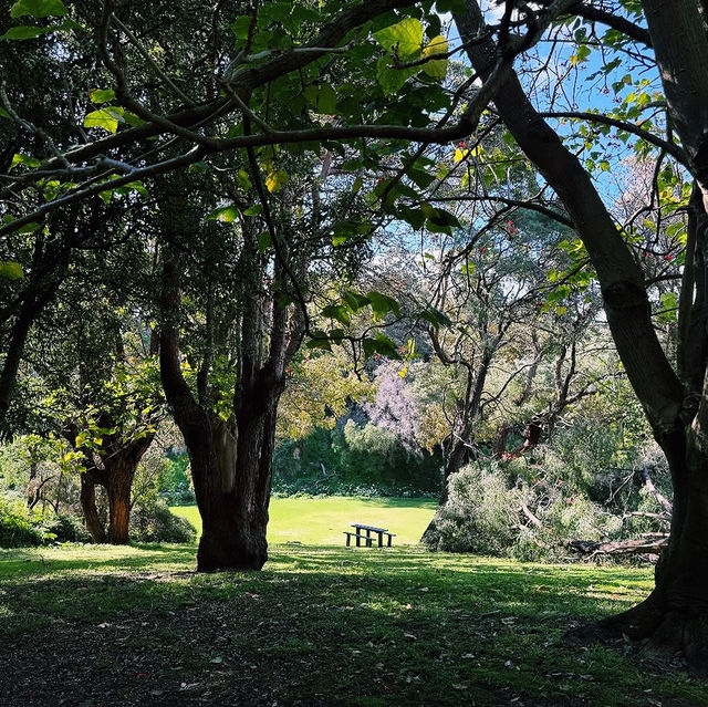 Caves House Hotel