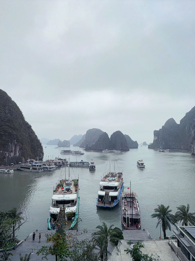 My first cruise at Halong Bay! 🛳️