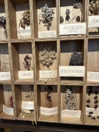 Kobe herb garden