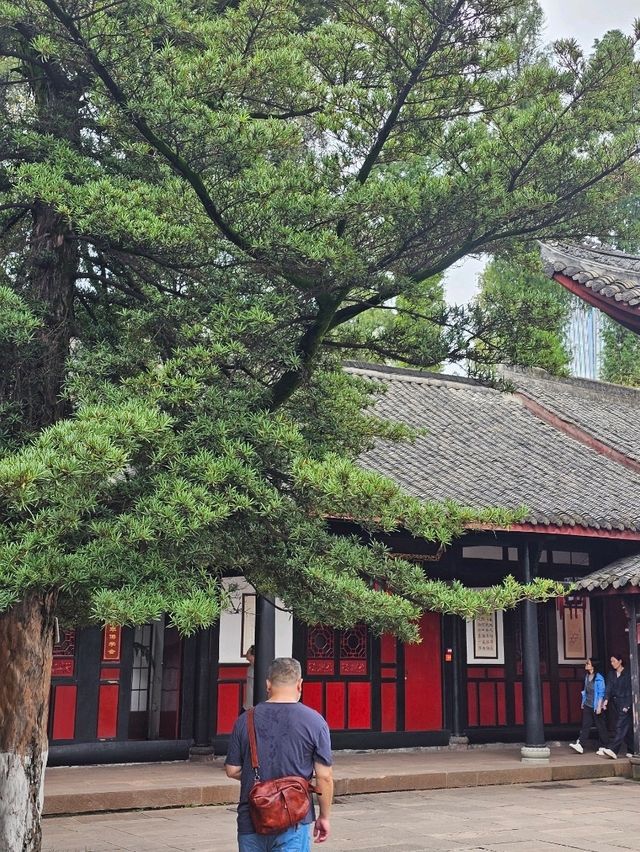 Temple Calm Chengdu🌿