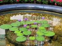 Behind the Gilded Gates: A Day of Civic Connection in Macau