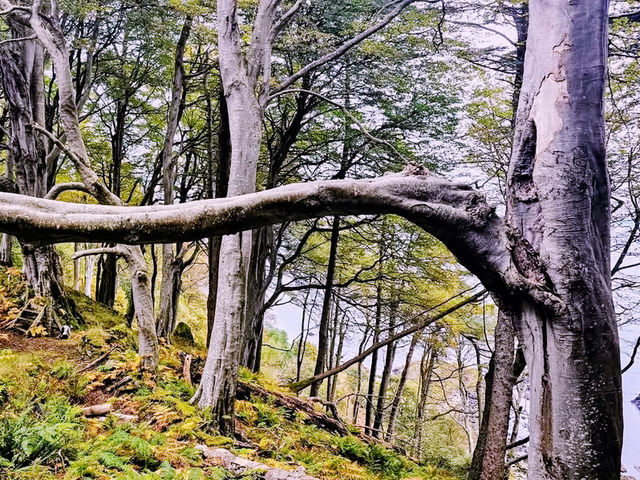 Your Solo Secret: Murlough Bay Your Solo Secret: Murlough Bay
