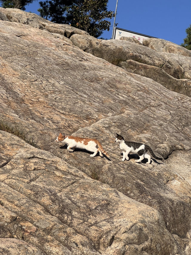 Hiking in Seoul