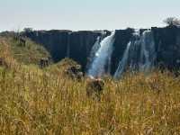 Where Thunder and Mist Create Nature’s Grand Spectacle