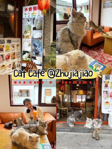朱家角最可愛的貓咪咖啡館