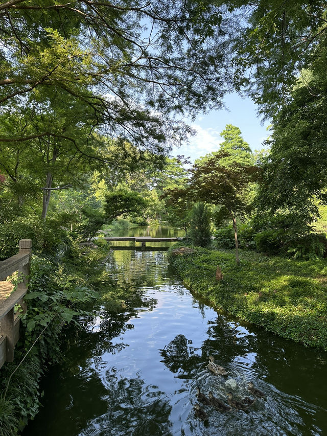在美國🇺🇸最不美國的地方—-德州的城市綠洲🍃快點記錄下來！