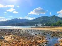 【鳳凰徑第9段~籮箕灣 ⭐】