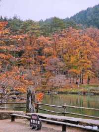 Hida Folk Village (Hida no Sato) 🍁🍂