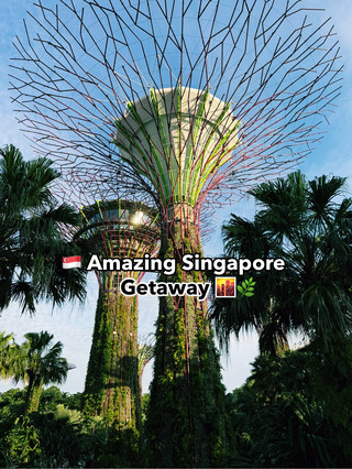 🇸🇬 新加坡精彩之旅🌆🌿