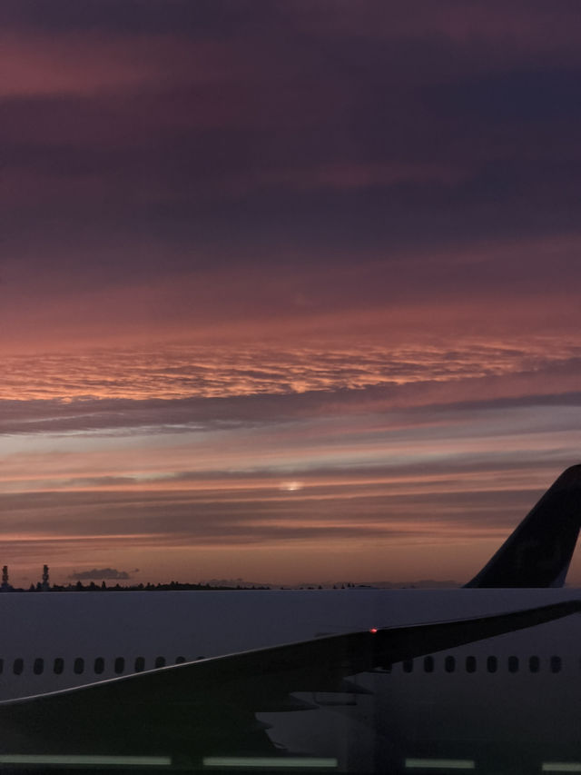 도쿄 4박5일 여행기 도쿄 4박5일 여행기