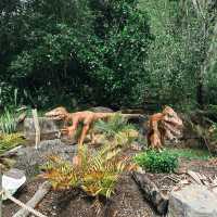 Auckland Zoo: ครึ่งวันที่เต็มไปด้วยความสนุกสนาน