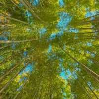 ์ ์ฃผ์๋ชฉ์์ด ์ด๋ ๊ฒ ์ด์๋ค๊ณ ?