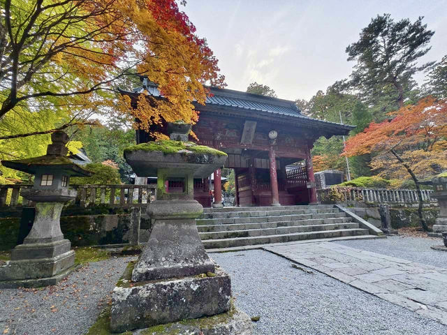 《巨杉守護的靜謐時光•北口本宮富士淺間神社》