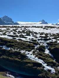 BACHALPSEE DREAMSCAPE ๐๏ธ๐โจ