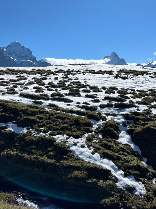 BACHALPSEE DREAMSCAPE ๐๏ธ๐โจ BACHALPSEE DREAMSCAPE ๐๏ธ๐โจ