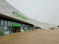 Where Wings Whisper Secrets: A Journey Through the Zhuhai Insect Museum