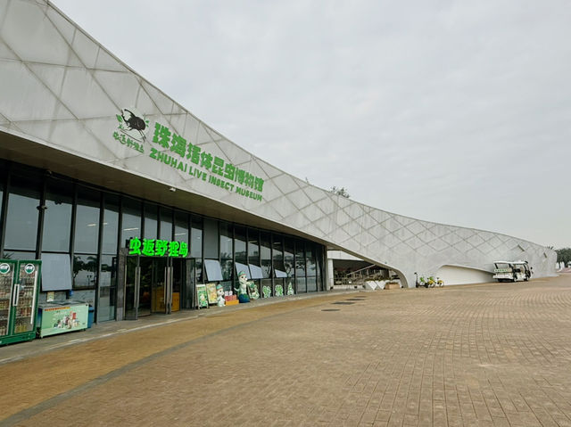 Where Wings Whisper Secrets: A Journey Through the Zhuhai Insect Museum Where Wings Whisper Secrets: A Journey Through the Zhuhai Insect Museum