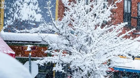 カナダ・キッチナー冬の探訪：雪景色の都市美学とスポーツ情熱ガイド — traveler post in キッチナー