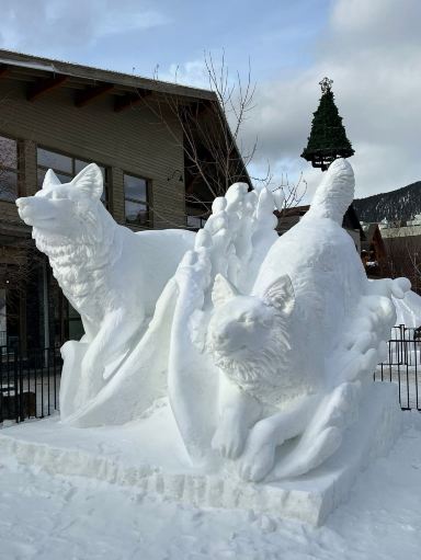 2026 Recommended Snow viewing in Banff Avenue (Updated October
