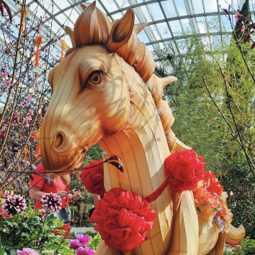 Prosperity in Every Petal: Chinese New Year at Flower Dome | Trip