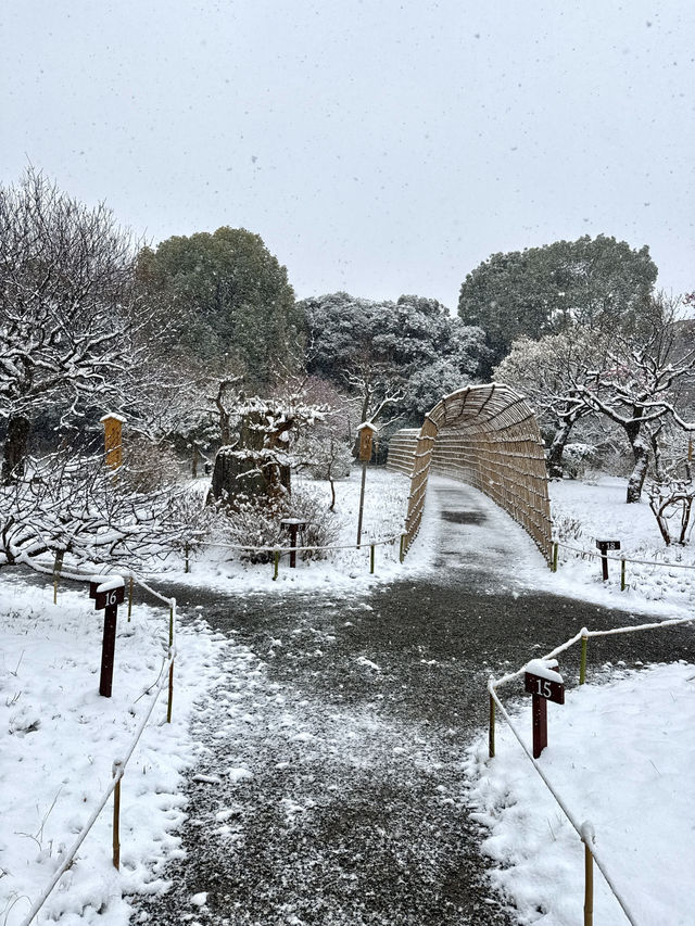 Snow-Covered Paths Through History